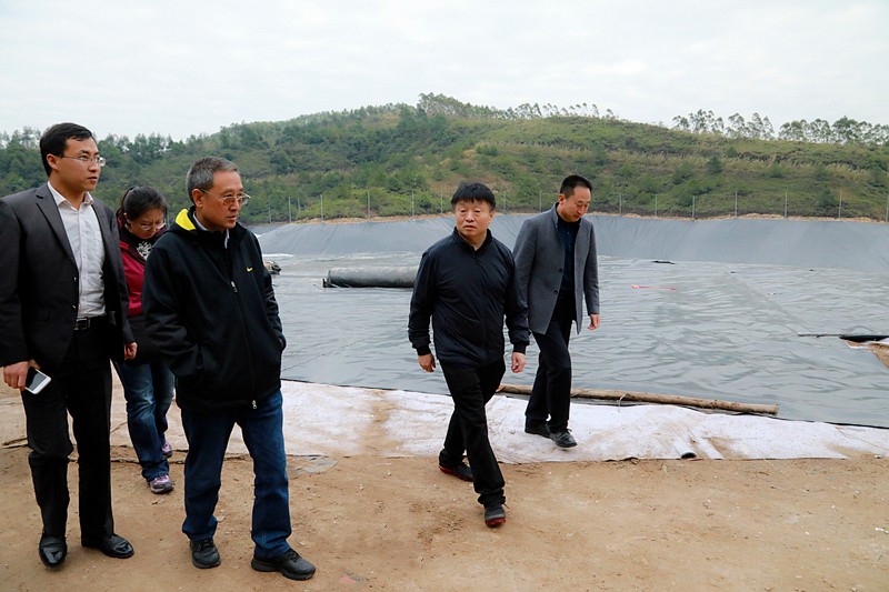 熊良虎在广西调查调研固废措置工作时指出：抢抓机缘，加快优势产业“走出去”