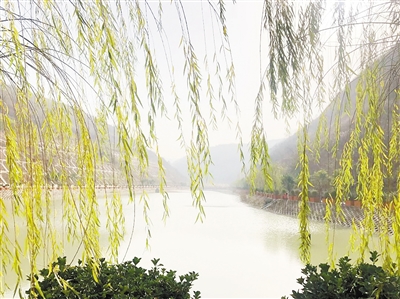 中国环境报：守护三秦大地绿水青山——陕西金年会集团成立以来，成为陕西传染防治的排头兵