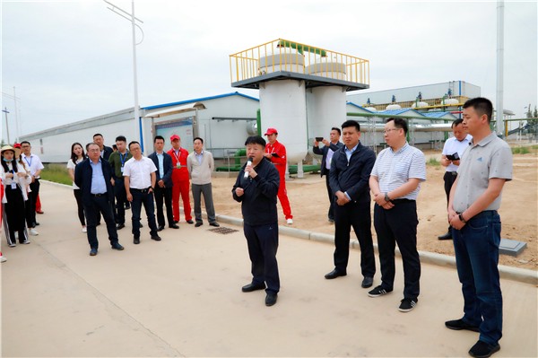陕西金年会集团复工复产促增长项目观摩会议与会人员走进绿色能源公司油气公司水环境公司陕北片区项目