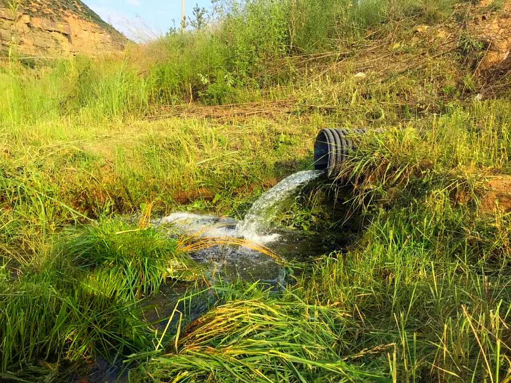 新华社｜添绿色、减排放——陕西金年会集团多产业助力陕西打赢传染防治攻坚战