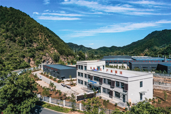 陕西金年会集团：全面深入国企鼎新 激活企业发展“一汪净水”