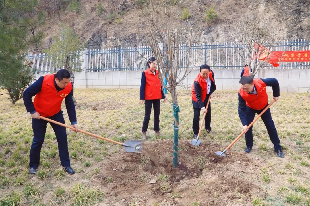 根系青春·植此青绿｜陕西金年会集团团委发展使命植树自愿活动
